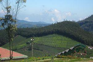 Doddabetta Resort Ooty Εξωτερικό φωτογραφία
